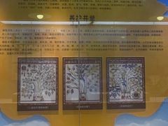 -广东中医药博物馆