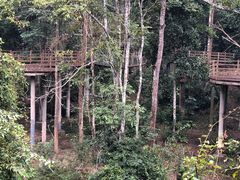 -野象谷景区