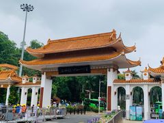 -深圳仙湖植物园