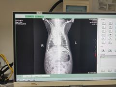 -泰洋动物医院·神经专科·磁共振·CT(天河公园总院)