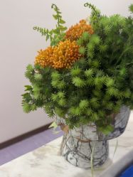 -广州紫馨整形外科医院