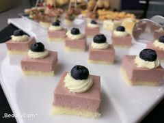 -向阳松鼠(江口店)