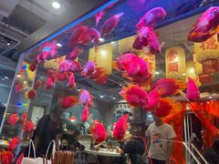 -朱光玉火锅馆(正弘城店)