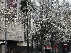 -哈根达斯(西安高新店)