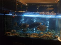 -衢农会·衢州菜·宴请(国际机场店)