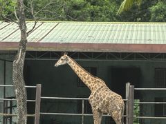 -海南热带野生动植物园