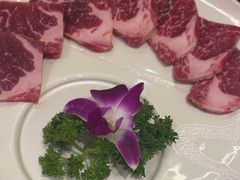 -千寻山野烤肉(中关村店)