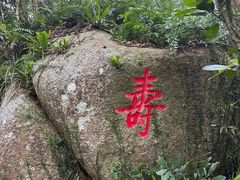 -海南铜鼓岭景区