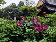 -龙华寺