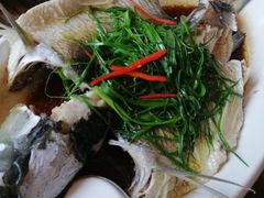 -鲤鱼塘农家山庄