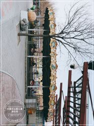 -大望京儿童游乐场