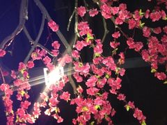 iphone_upload_pic-猪啊牛呀羊啊铜盘烤肉(正大广场店)