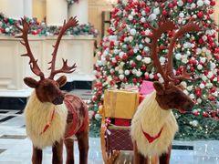 -Salon de Ville浦江汇(上海外滩华尔道夫酒店店)