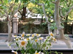 -Ginger(兴国路店)