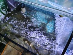 -面道赞宁海海鲜面(迎凤街店)