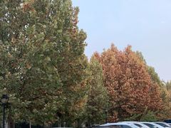 -竹叶涮肉坊(总店)