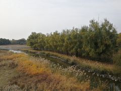 -北京麋鹿生态实验中心