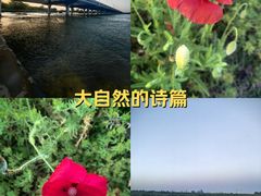 -太平河公园