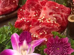 肩胛小排-丸藏和牛烧肉专门店(园区师惠坊店)