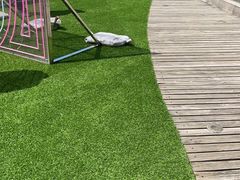 -龙之梦万丽酒店青餐厅