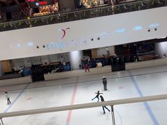 -TheRink大零溜冰场(IFS国金中心店)