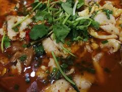 -龙梅肥肠鱼(明瓦廊店)