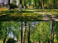 -洱海月湿地公园