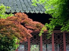 -上海醉白池公园