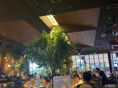 -同仁四季椰子鸡(宝安壹方城店)