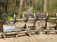 -剑门关风景区