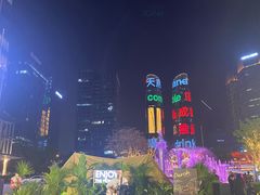 -合景·悠方(成都店)