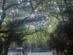 -灵谷景区