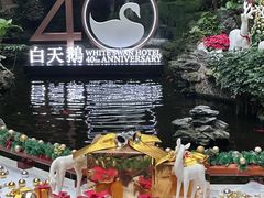 -白天鹅宾馆·流浮阁咖啡厅