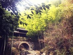 -WILDS 野有食(碧坞店)