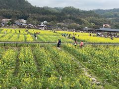 -红山村