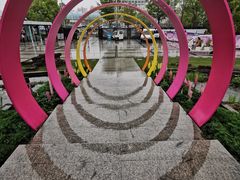 -上海植物园·停车场