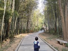 -青龙山国家森林公园