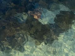 -卡帕莱度假村(西巴丹岛)