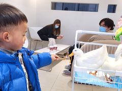 -怪兽屋·羊驼·猫咖·狗咖(俊华广场店)