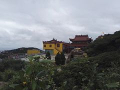 -枸杞岛