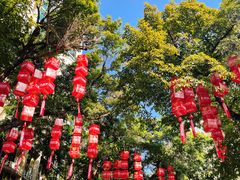 -越秀西湖花市(广州城市广场花卉店)
