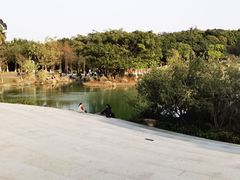 -八仙山公园