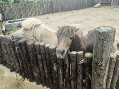 -泉州海丝野生动物世界