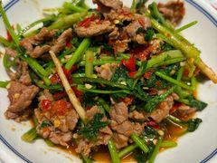 香菜炒牛肉-壹盏灯(蚂蚁工房店)