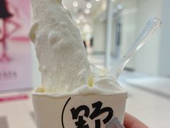 -野人先生Gelato(上海长宁龙之梦店)