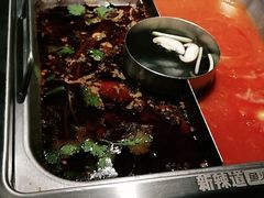 -新辣道鱼火锅(西直门店)