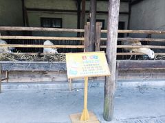 -乌村