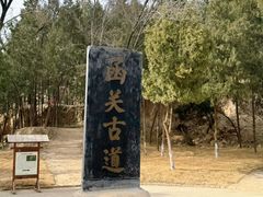 -函谷关历史文化旅游区