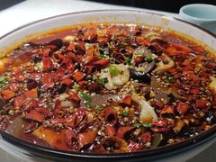 毛血旺-雲蜀龙阁·金牌水煮鱼(方庄店)