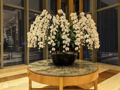 -视界美食自助餐厅·石家庄希尔顿酒店